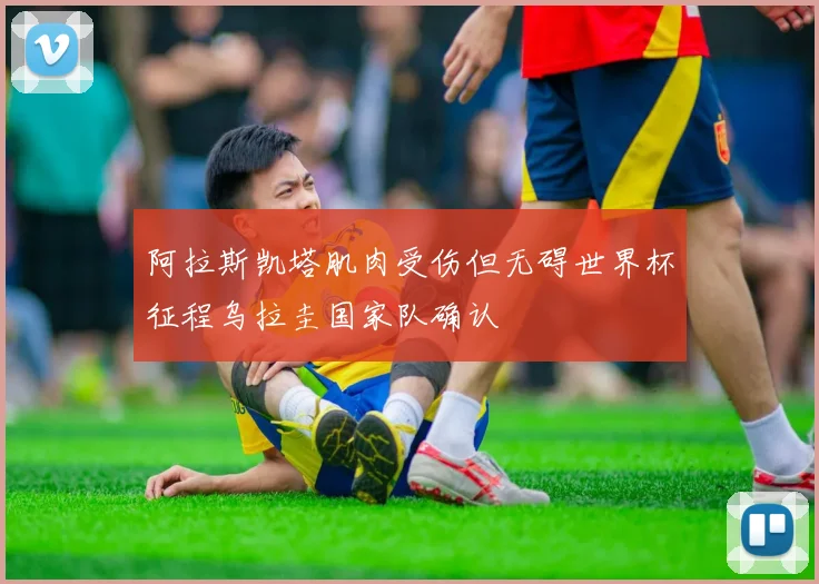 阿拉斯凯塔肌肉受伤但无碍世界杯征程乌拉圭国家队确认