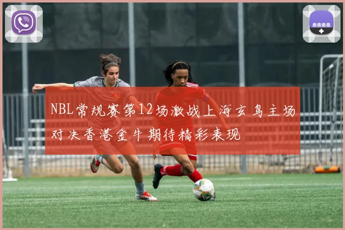 NBL常规赛第12场激战上海玄鸟主场对决香港金牛期待精彩表现