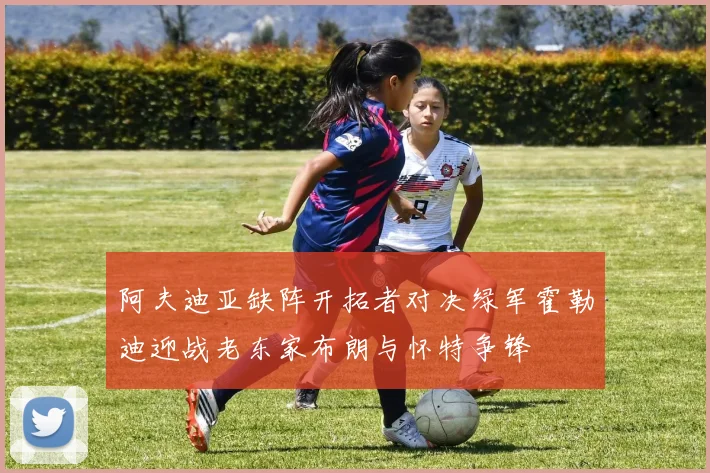 阿夫迪亚缺阵开拓者对决绿军霍勒迪迎战老东家布朗与怀特争锋