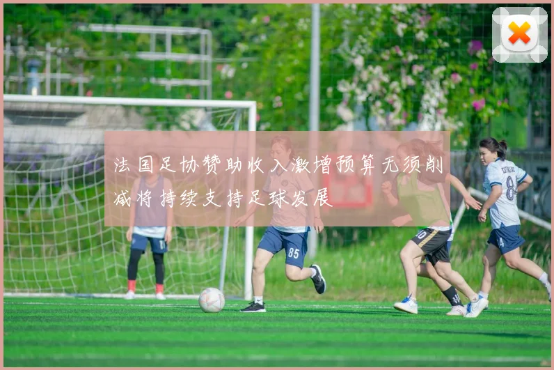 法国足协赞助收入激增预算无须削减将持续支持足球发展